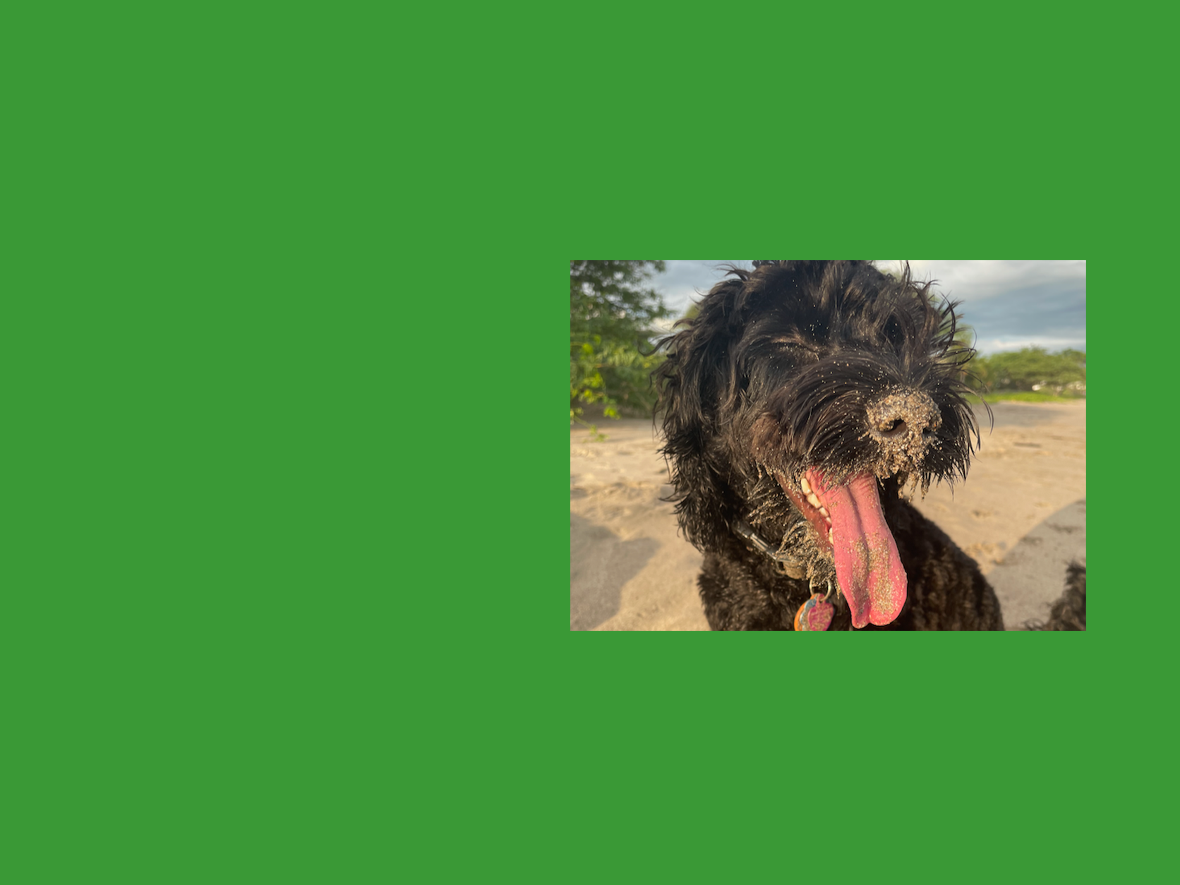 slide7